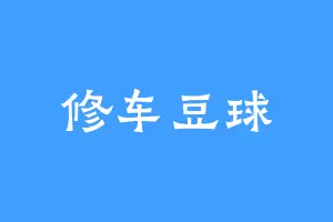 修车豆球