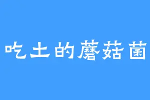 吃土的蘑菇菌