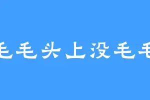 毛毛头上没毛毛