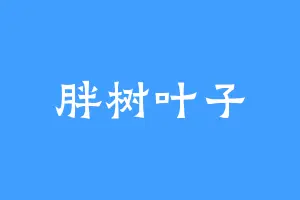 胖树叶子
