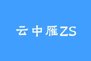 云中雁ZS