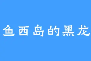 金钱鱼西岛的黑龙妖尊