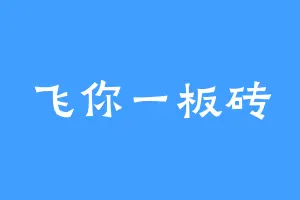 飞你一板砖