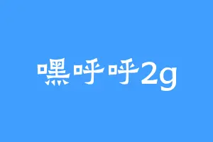 嘿呼呼2g