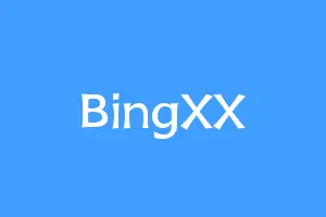 BingXX