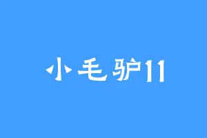 小毛驴11