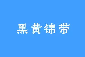 黑黄锦带