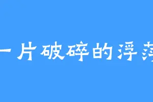 一片破碎的浮萍