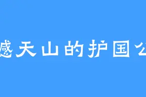 撼天山的护国公