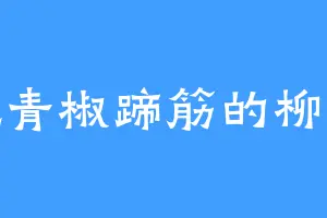 爱吃青椒蹄筋的柳扶风