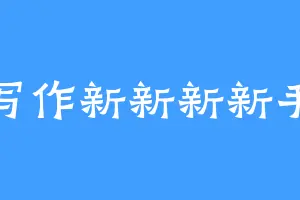 写作新新新新手