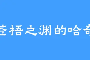 苍梧之渊的哈奇