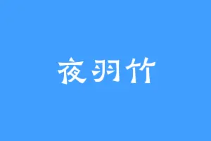 夜羽竹