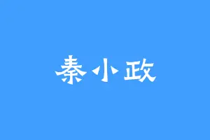 秦小政