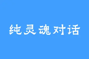 纯灵魂对话