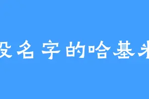没名字的哈基米