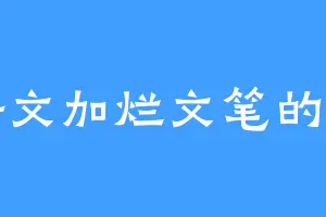 拼好文加烂文笔的火鸡