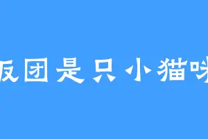 饭团是只小猫咪