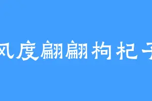 风度翩翩枸杞子