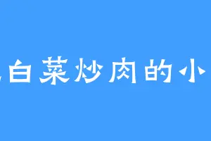 爱吃白菜炒肉的小老太