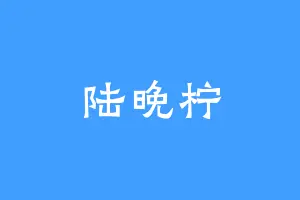 陆晚柠