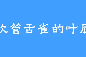 喜欢管舌雀的叶辰乃