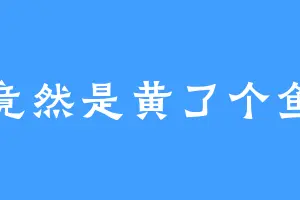 竟然是黄了个鱼