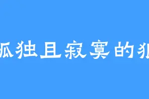 孤独且寂寞的狼