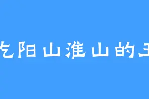 爱吃阳山淮山的王冲