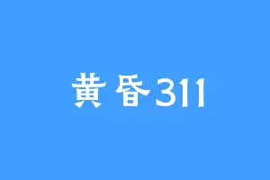 黄昏311