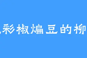 爱吃彩椒煸豆的柳兄弟