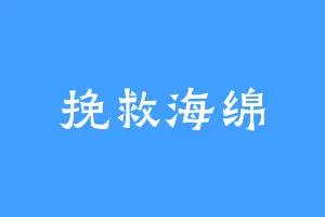 挽救海绵