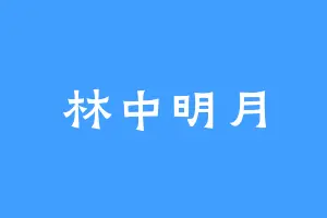 林中明月