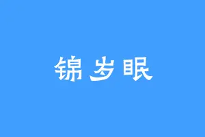 锦岁眠
