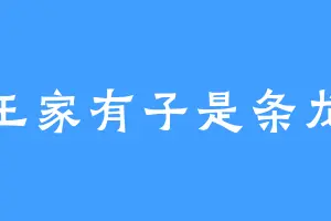 王家有子是条龙