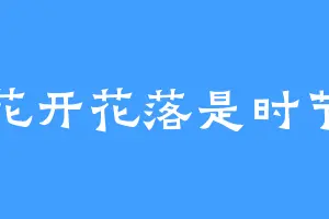 花开花落是时节