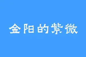 金阳的紫微