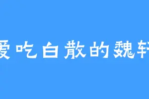 爱吃白散的魏轩