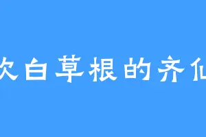 喜欢白草根的齐仙侠