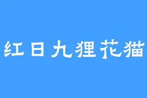 红日九狸花猫