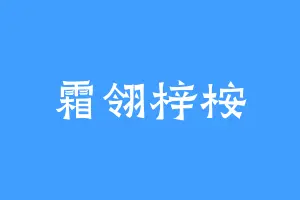 霜翎梓桉
