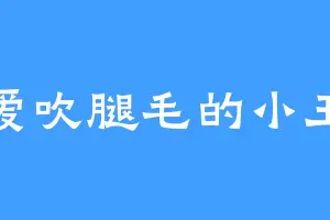 爱吹腿毛的小王