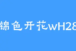 锦色开花wH28
