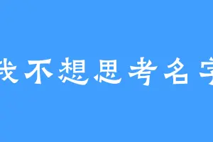 我不想思考名字