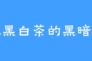 爱吃黑白茶的黑暗玄功