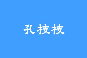 孔枝枝