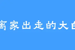 离家出走的大白