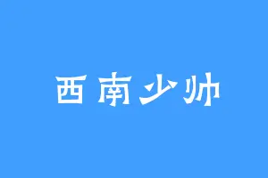 西南少帅