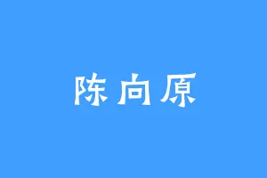 陈向原