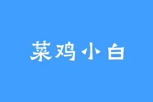 菜鸡小白